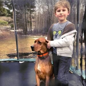 Meet your Posher, Desiree